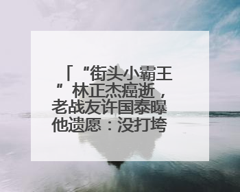“街头小霸王”林正杰癌逝，老战友许国泰曝他遗愿：没打垮民进党